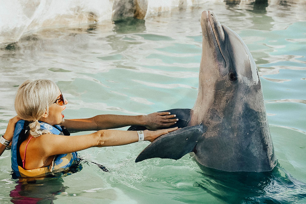costa maya swim with dolphins
