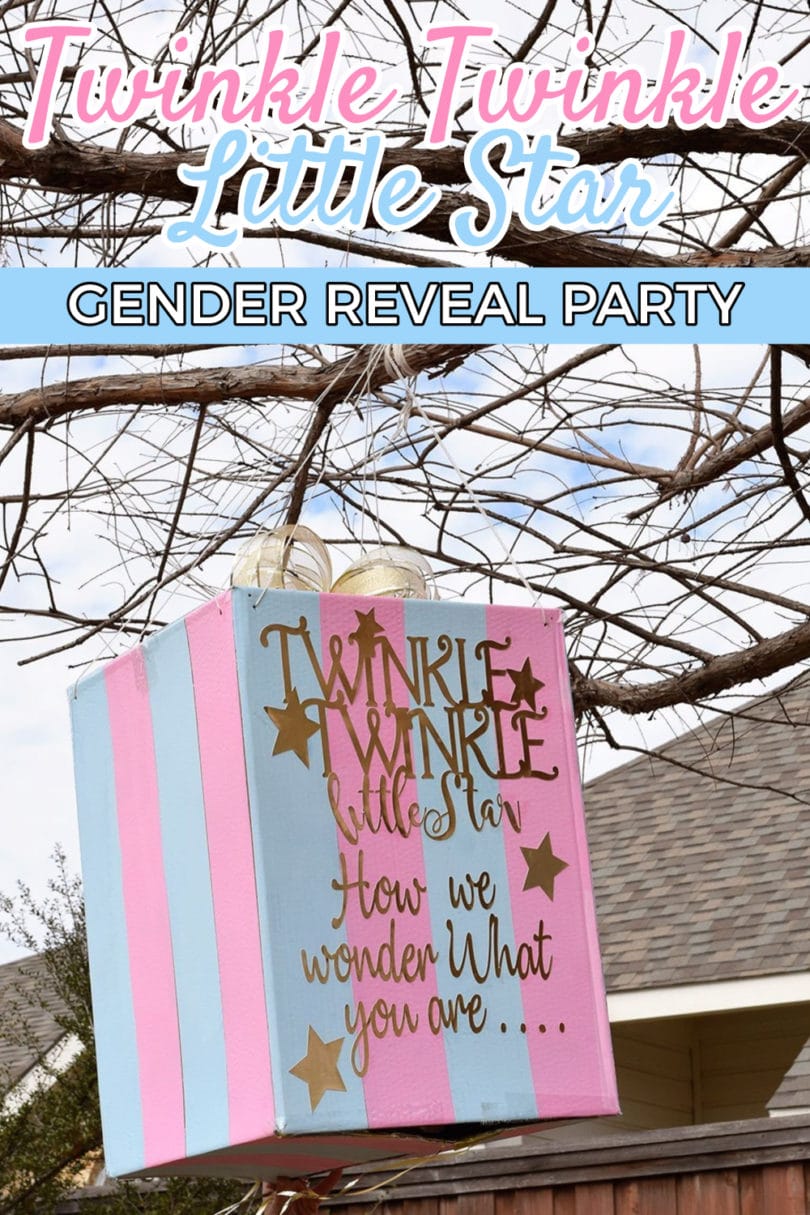 twinkle twinkle little star gender reveal party