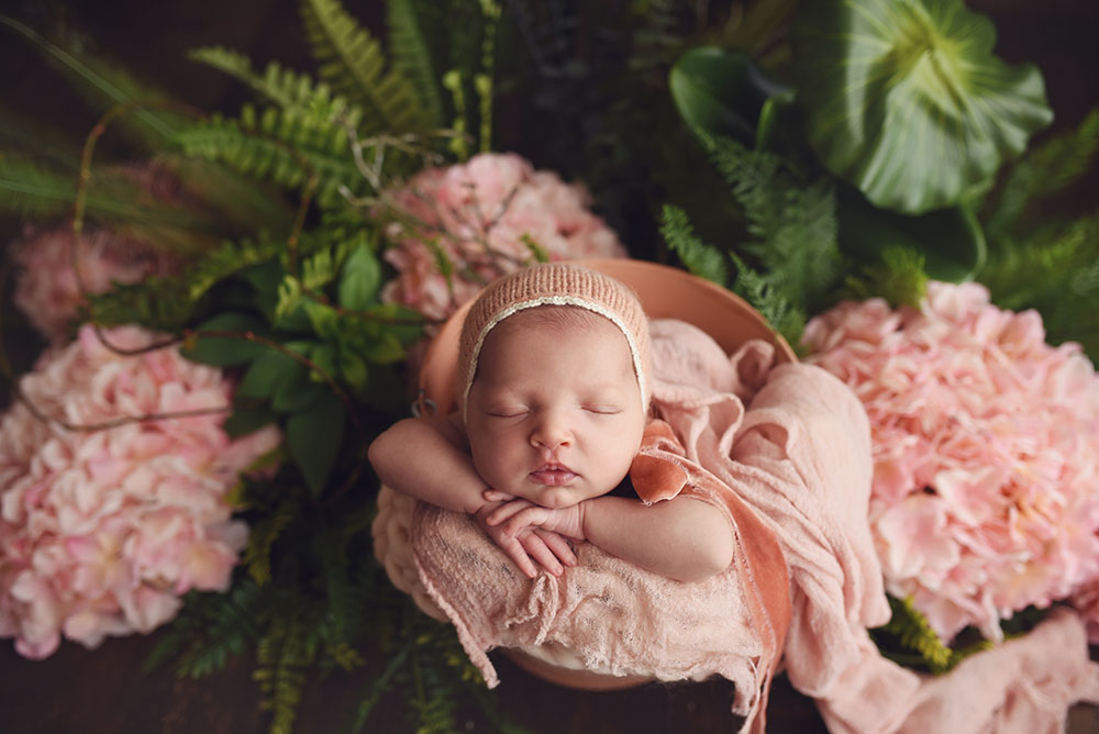 newborn photography dallas