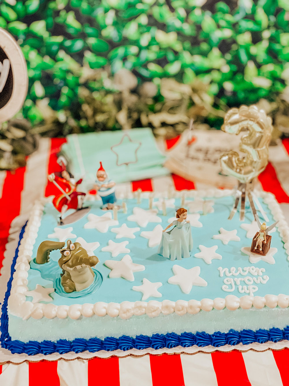 peter pan birthday party cake - never grow up